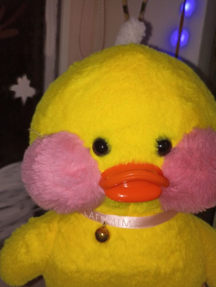 دبدوب البطه🐥✨