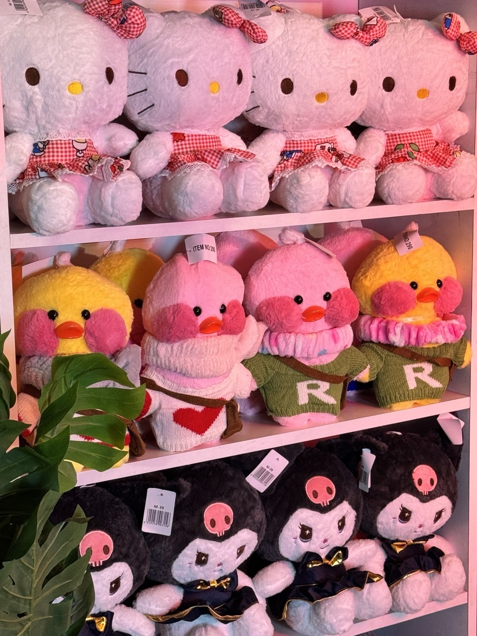 دبدوب هيلو كيتي 🥹💗