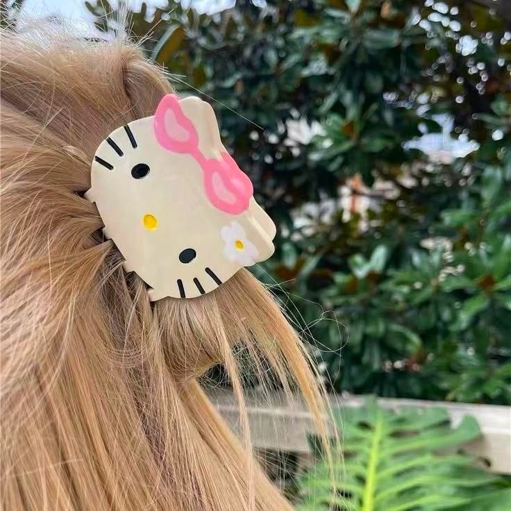 قراصة هيلو كتي 💕˚ ༘ ೀ⋆｡˚